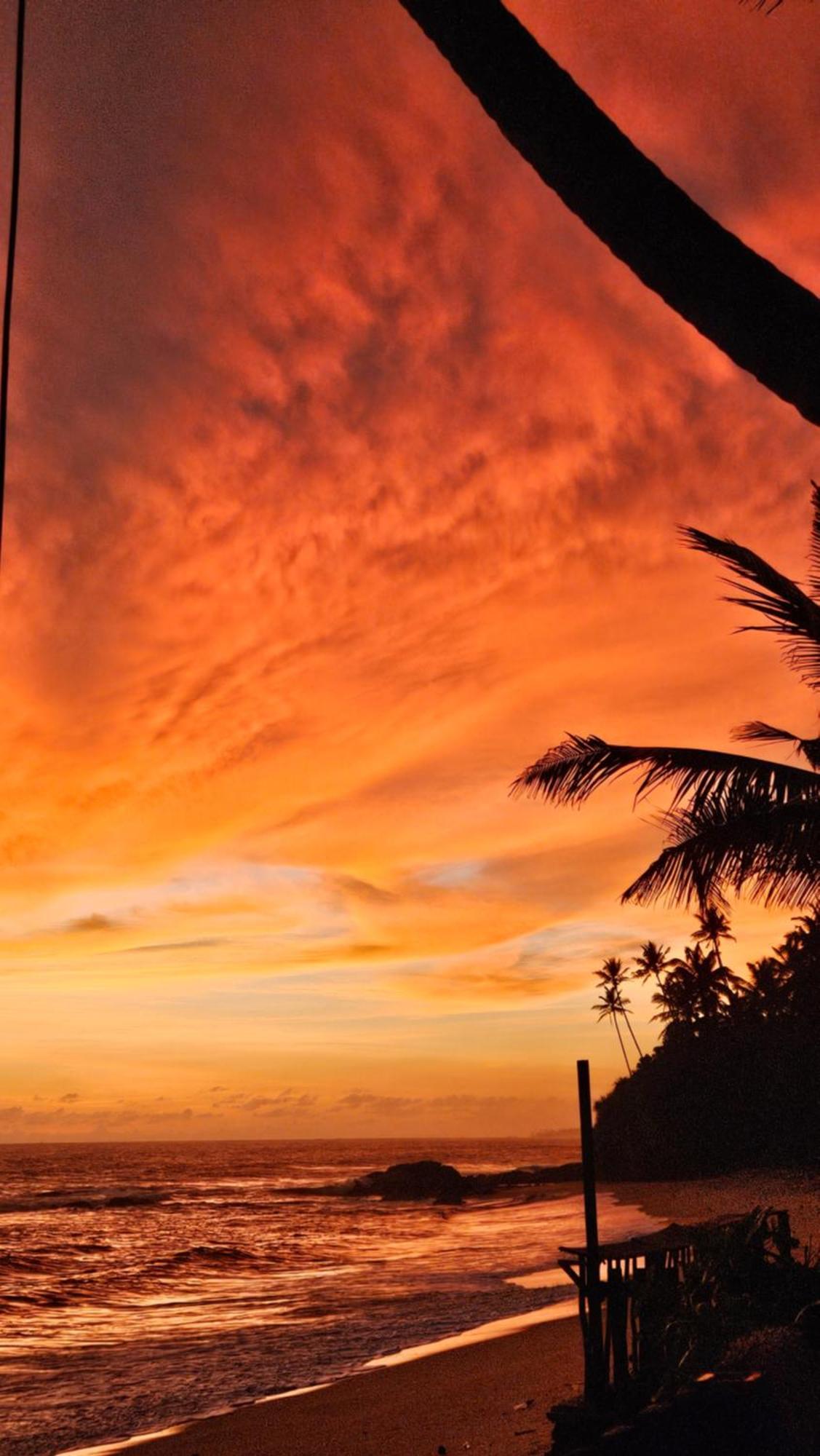 Hakuna Matara Beach Bungalows Kültér fotó